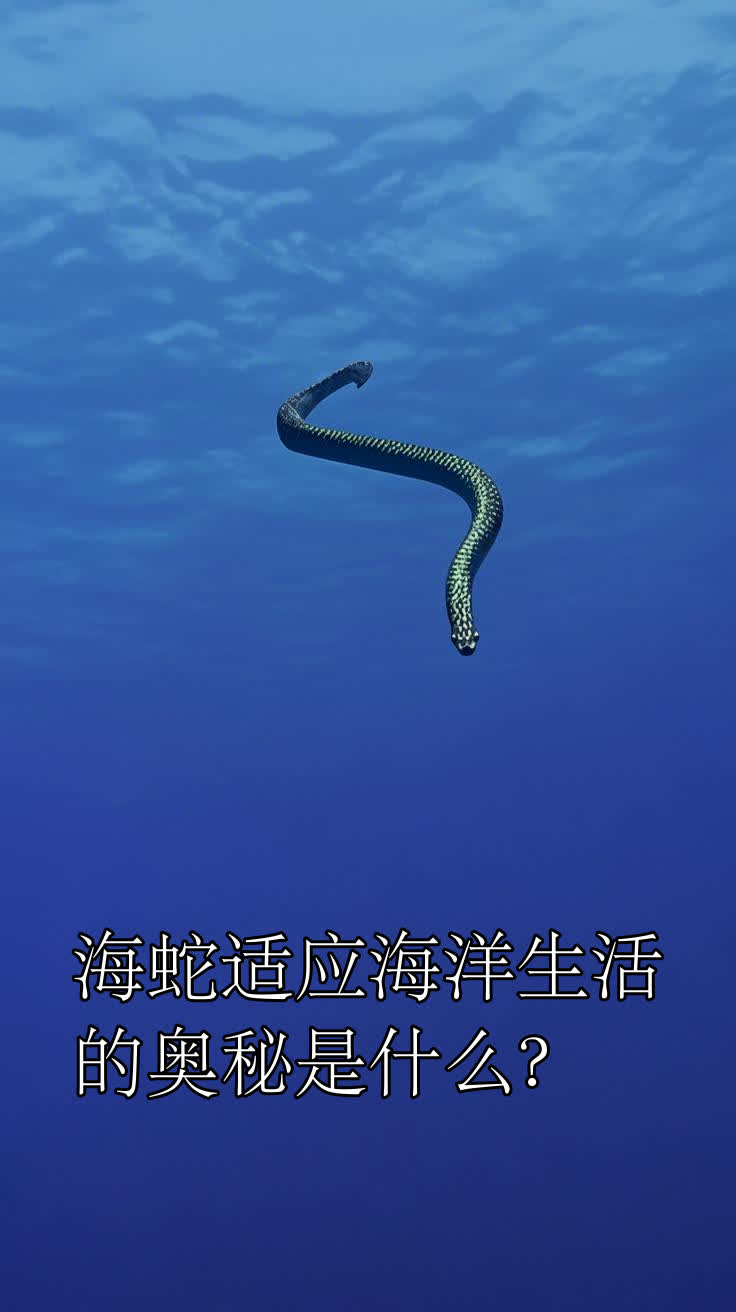 海蛇适应海洋生活的奥秘是什么?