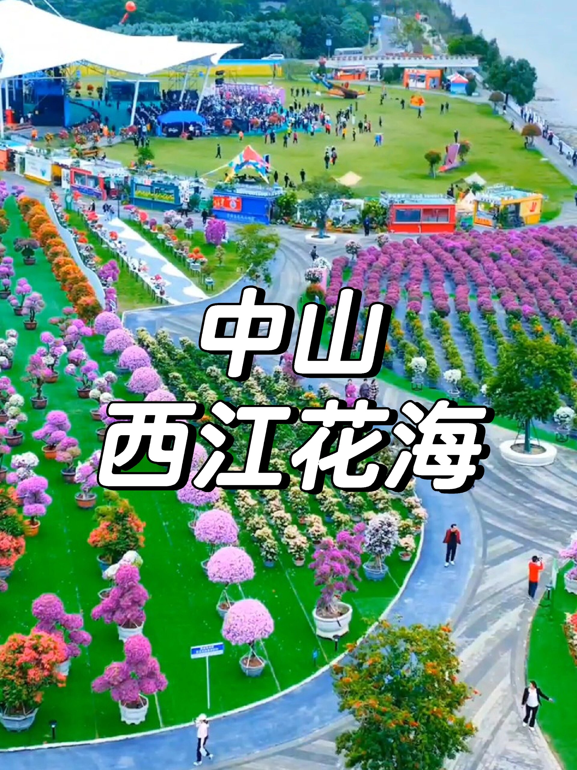 中山西江花海