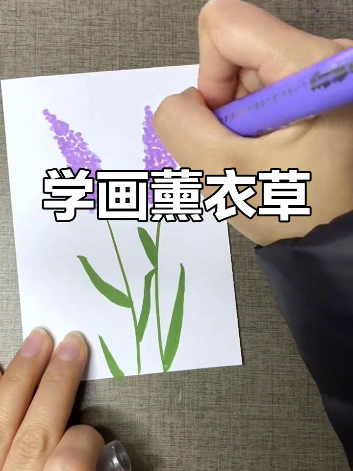 简单步骤教你用丙烯马克笔画薰衣草,轻松上手!