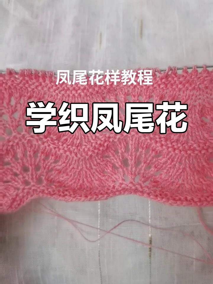 凤尾花编织技巧大揭秘,轻松学会毛衣花样