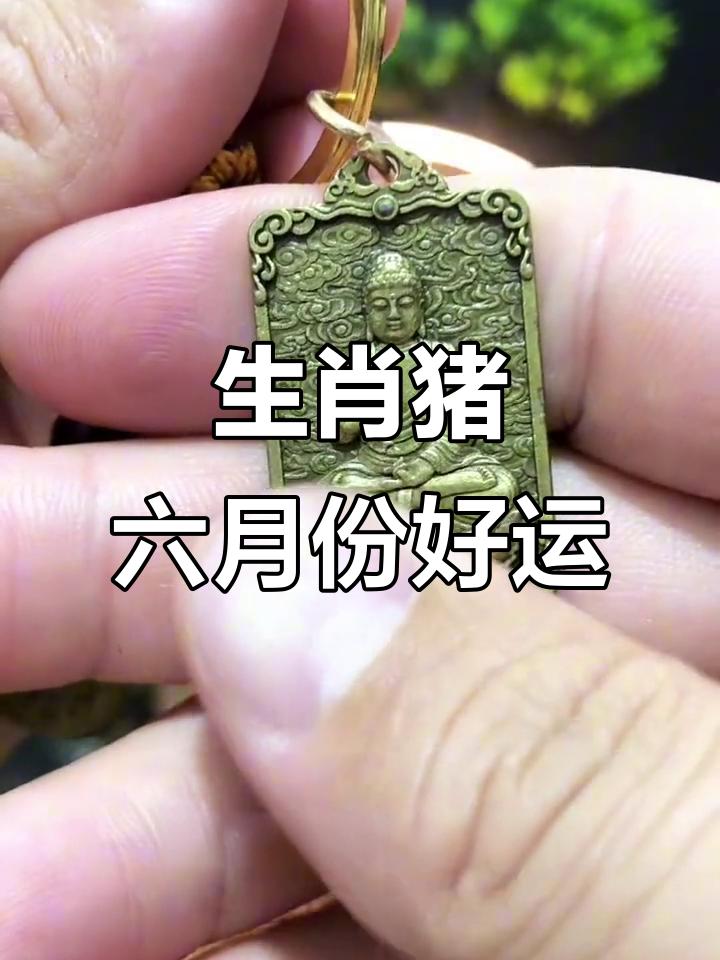 生肖猪今年的运势(生肖猪今年的运势如何)