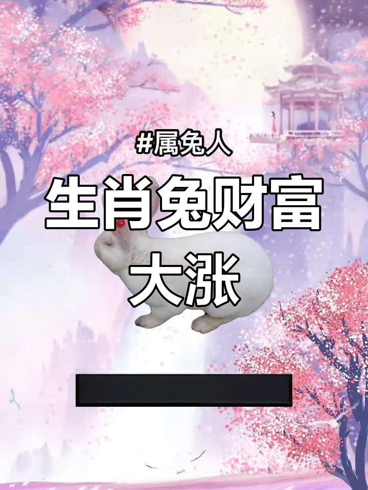 生肖兔的男人运势(生肖兔的男人运势好吗)