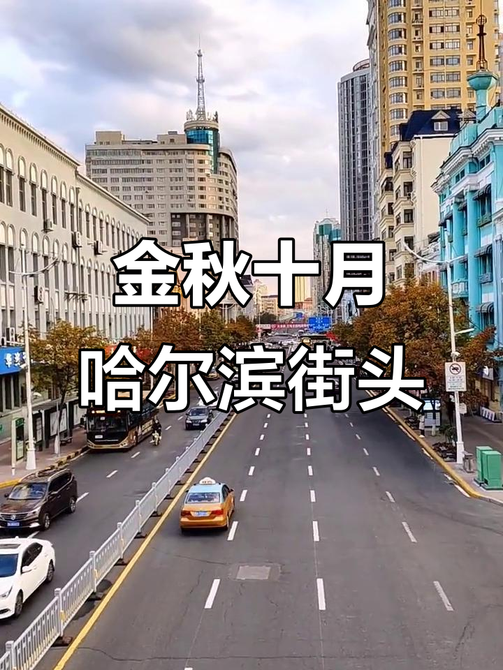 哈尔滨尚志大街秋日街景,金黄色氛围满满