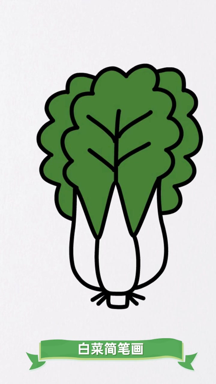 白菜简笔画