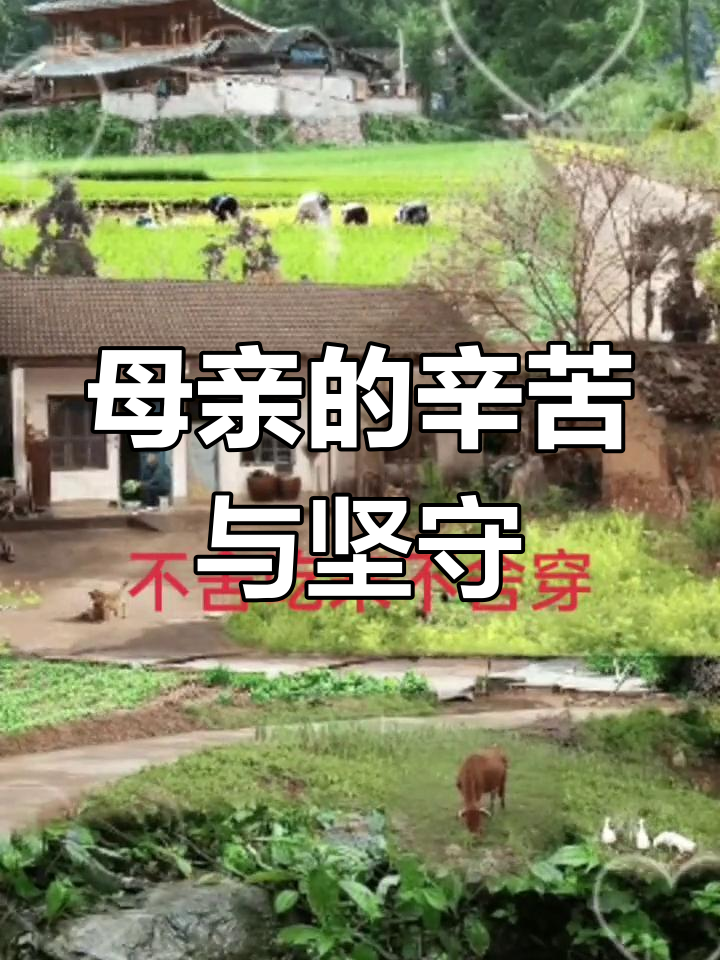母亲生育的艰辛与付出,为了孩子的成长无怨无悔