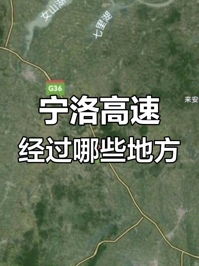 宁洛高速线路图图片