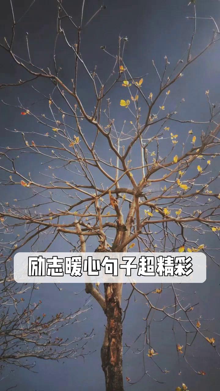 暖心图片 励志图片