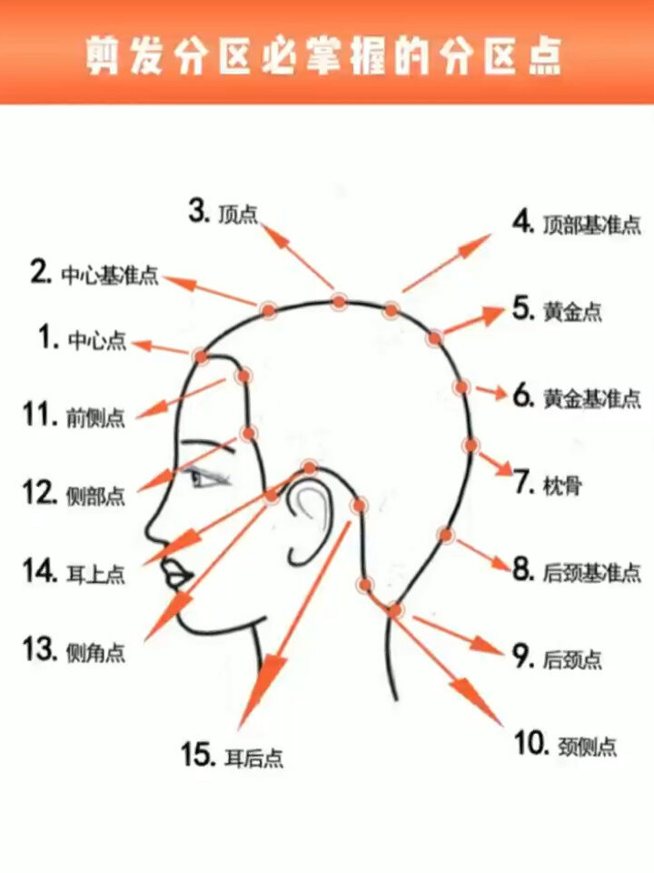 剪发分区必看要点小白看过来必备哦