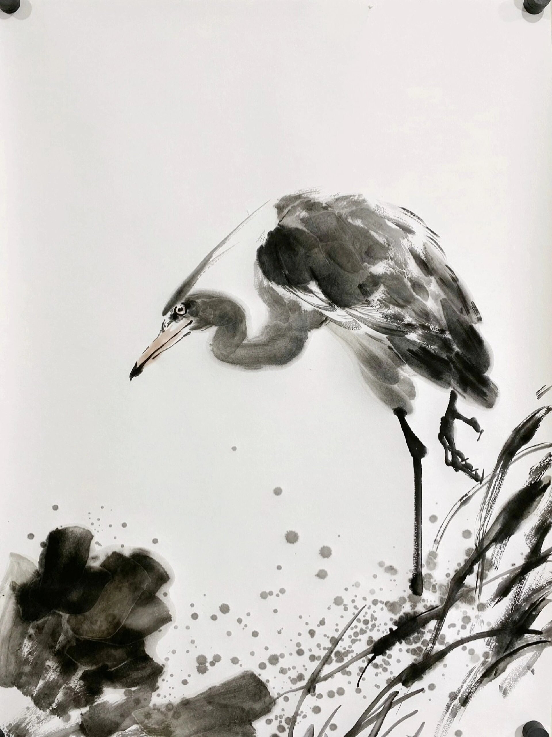 国画水墨白鹭