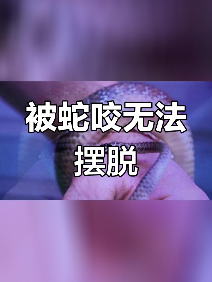 女人梦到蛇咬自己会怀孕是真的吗（女性梦见蛇咬自己好吗） 女人梦到蛇咬本身
会有身
是真的吗（女性梦见蛇咬本身
好吗） 卜算大全