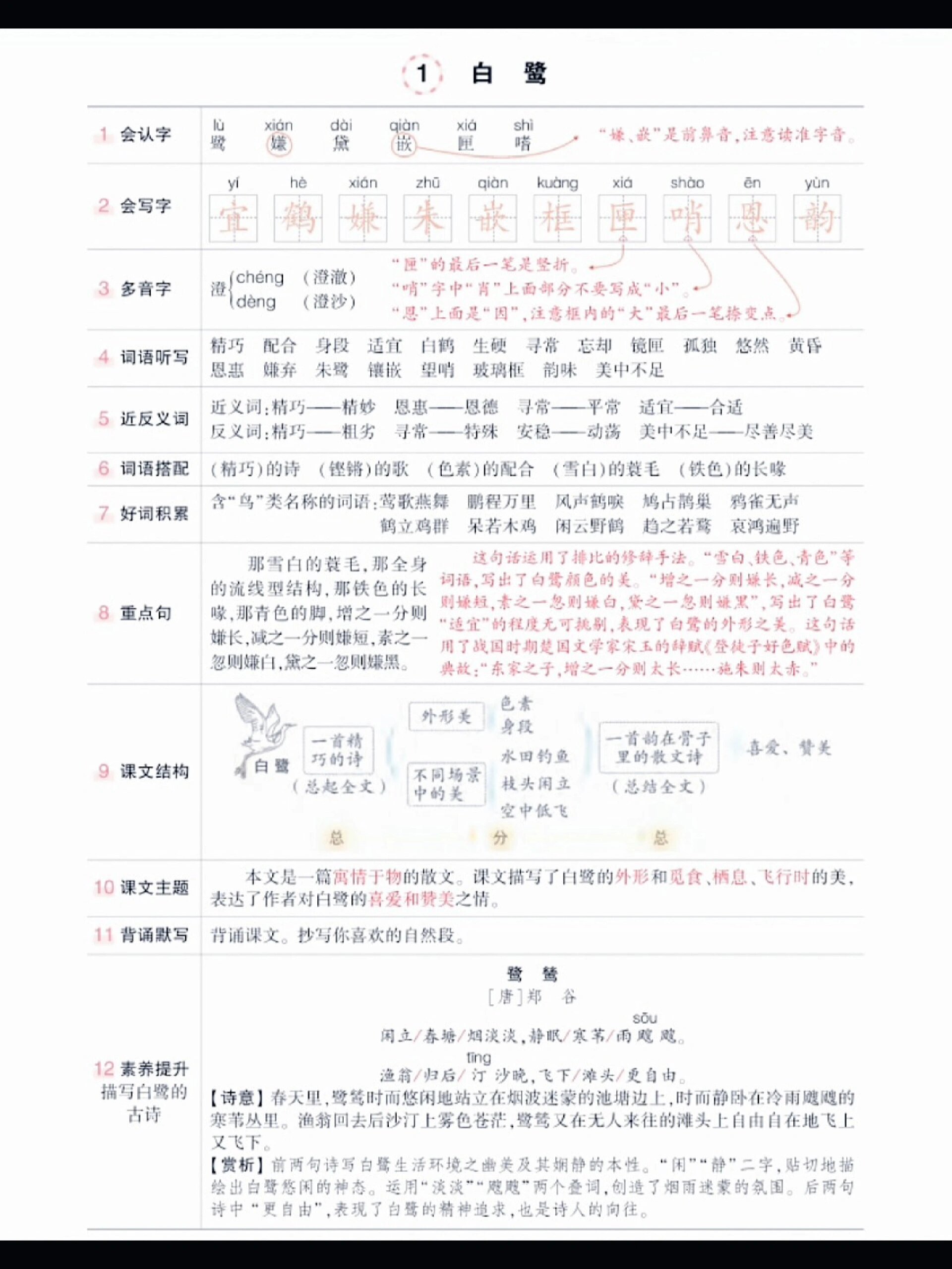 五年级语文笔记 学霸图片