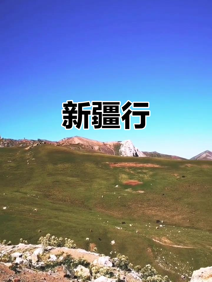 于风沙与星辰间，打捞新疆的灵魂秘语——评王成武《新疆之旅》系列随笔