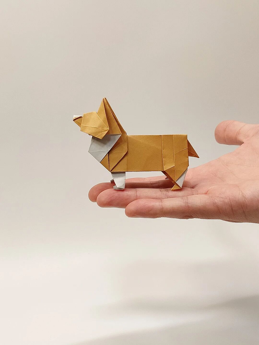 折纸–柯基犬(重制版)