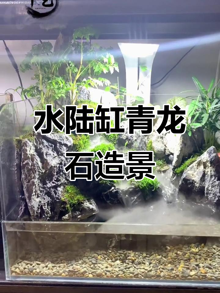 40cm青龙石打造水陆景观,植物造景微妙设计