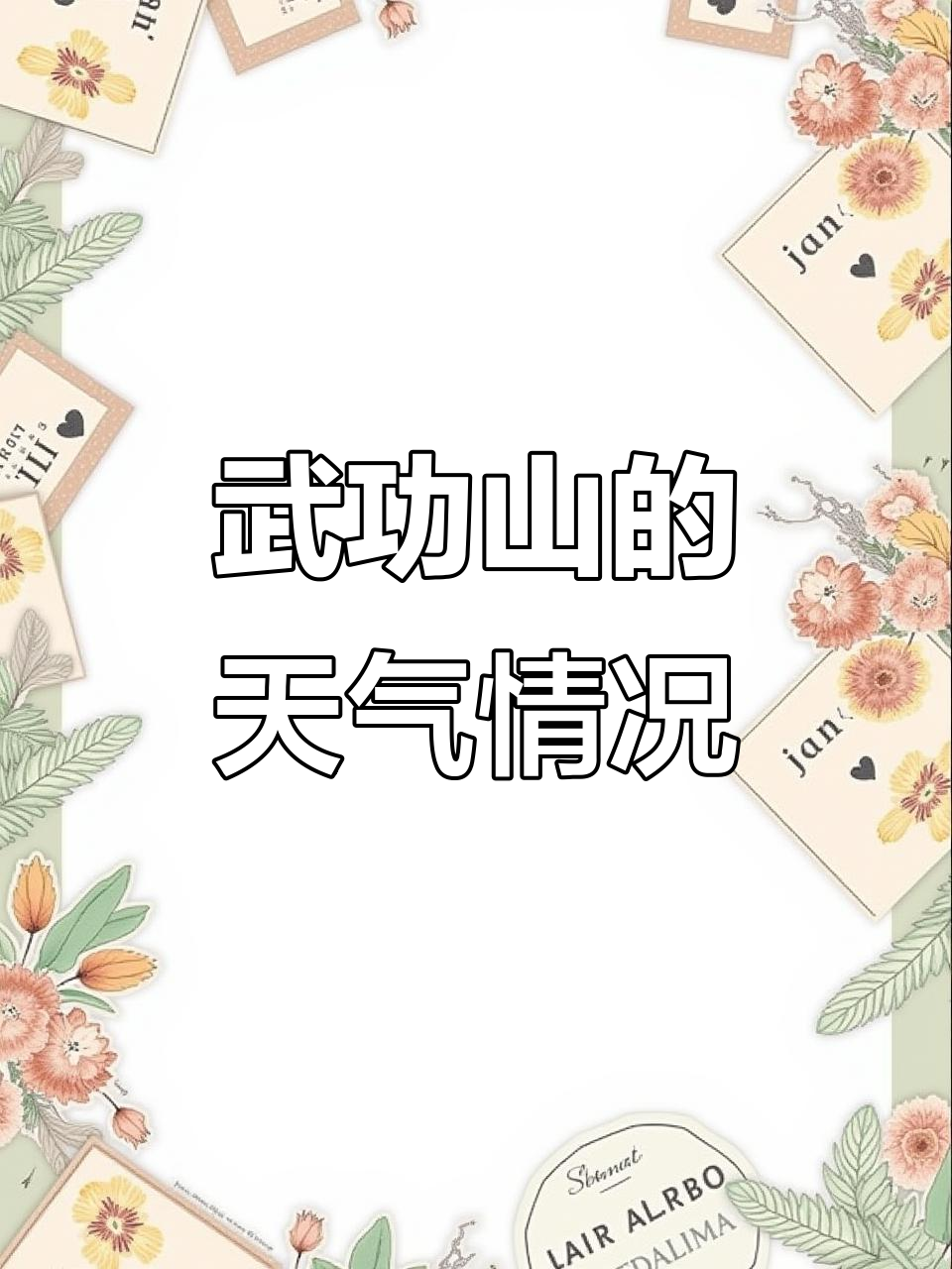 武功今天天气预报