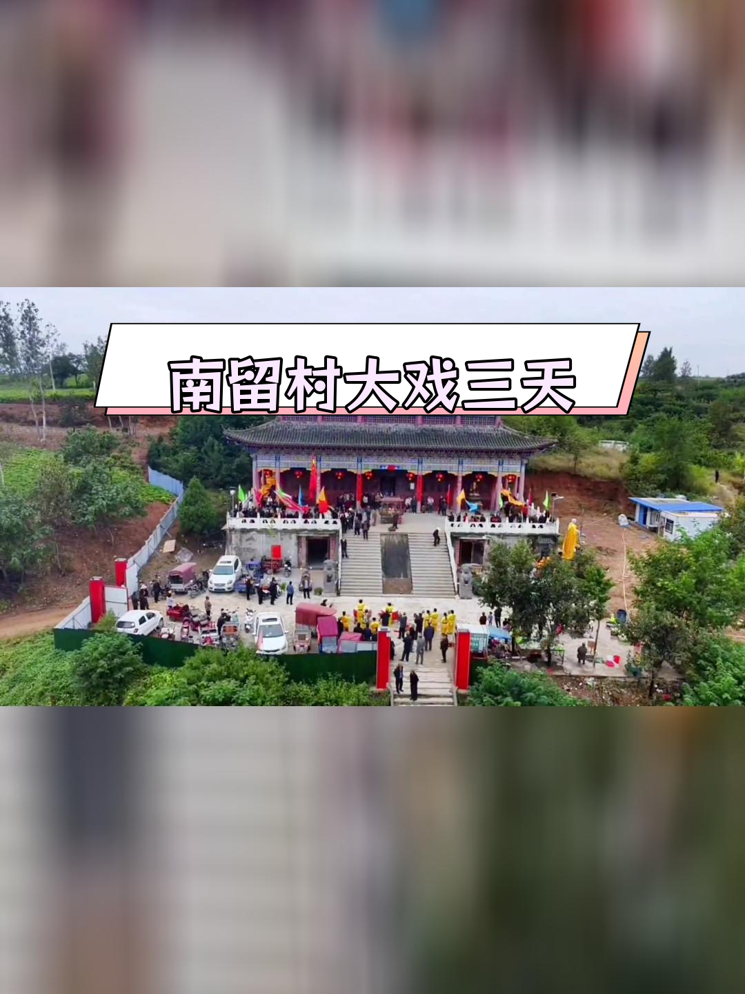 宜阳白杨图片