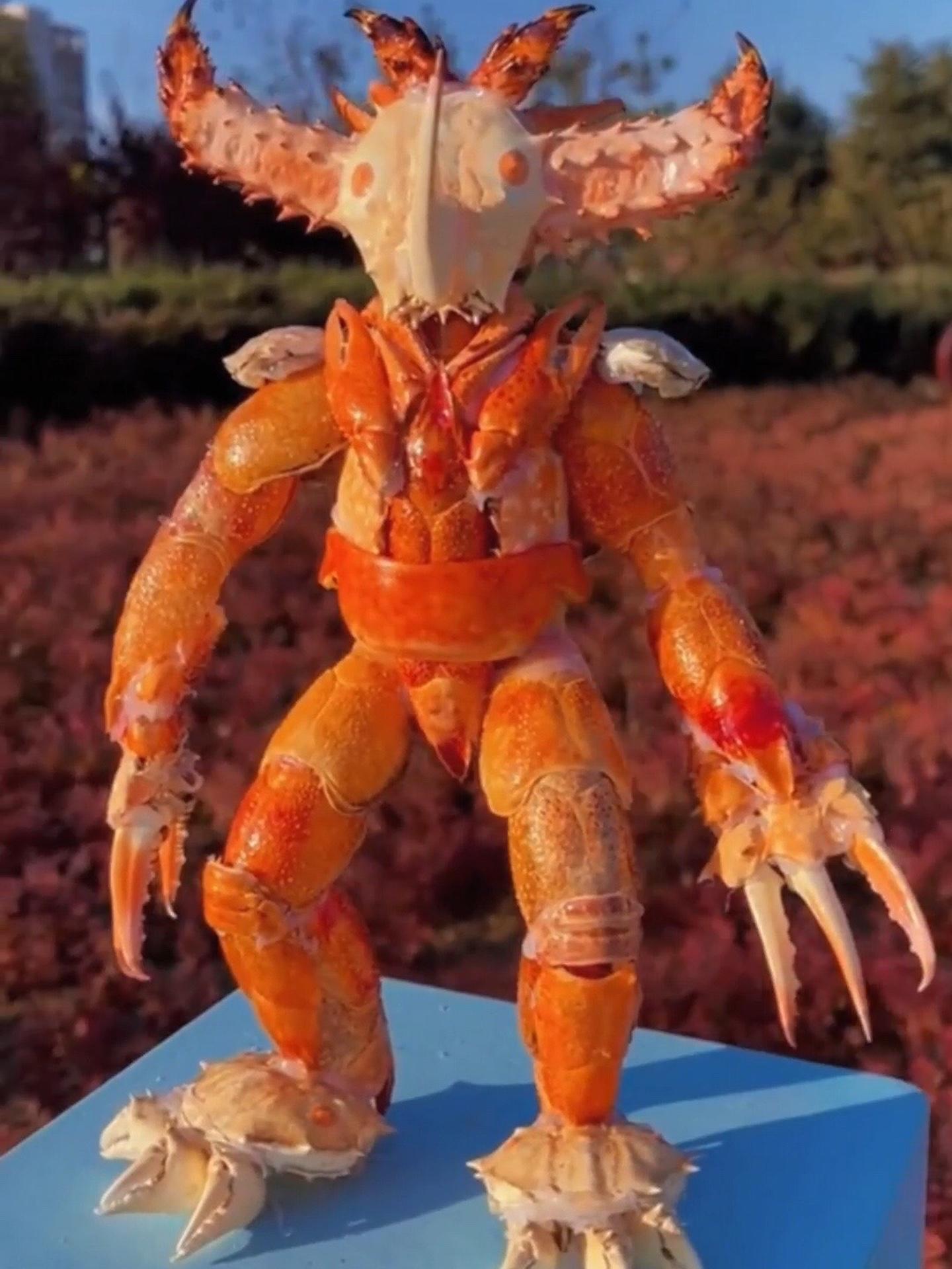 螃蟹"盔甲"变身秀 太酷了 螃蟹 艺术在抖音