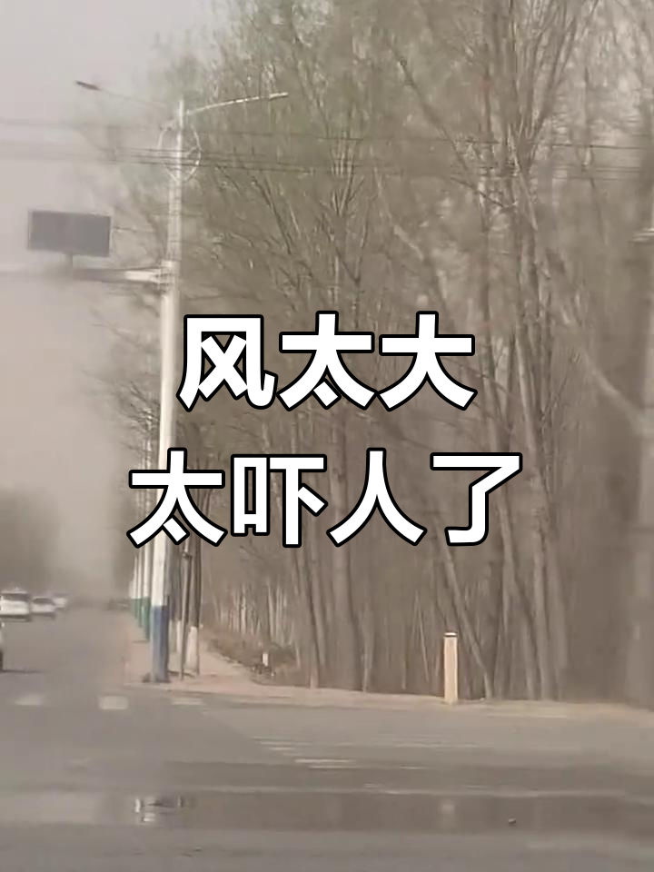 今天的风太大了,刮得天昏地暗,真吓人