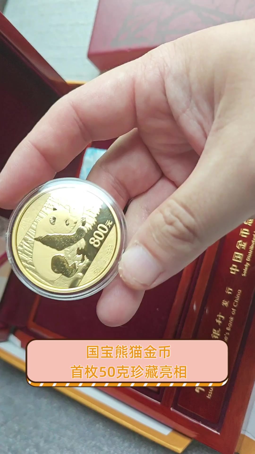 国宝熊猫金币,首枚50克珍藏亮相