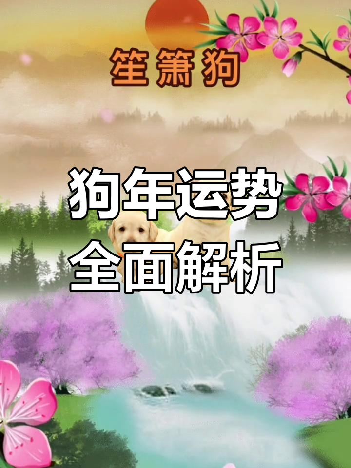 7月29日生肖狗运势怎样(属狗7月27日出生)