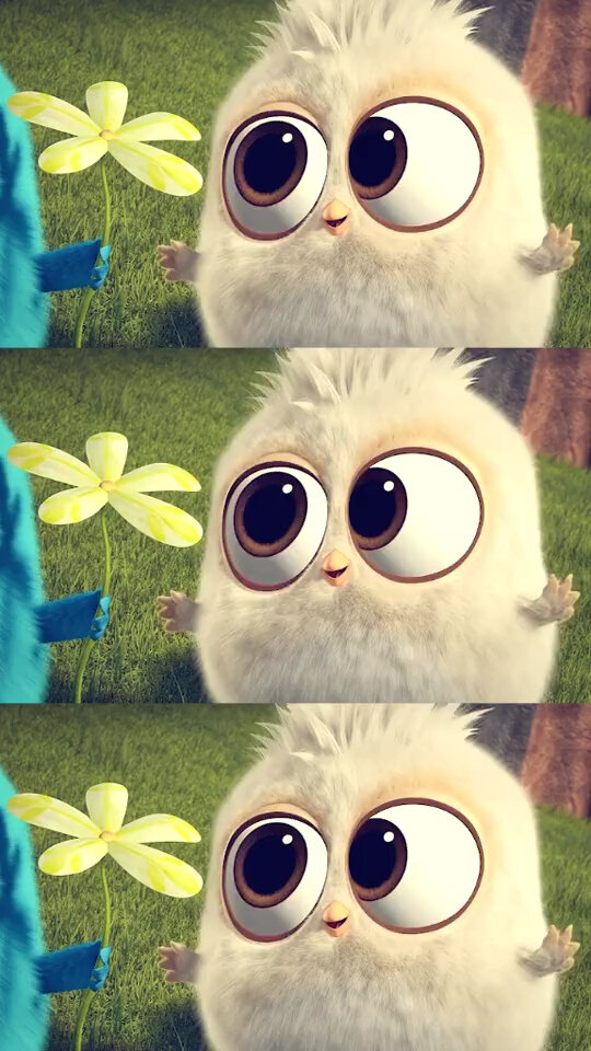 满眼都是你 愤怒的小鸟高清动态壁纸