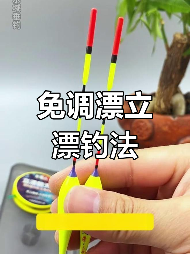 立漂传统钓线组,鲫鱼钓鱼更精准
