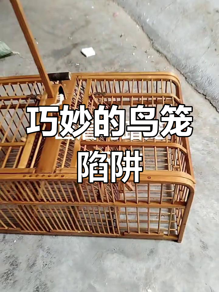 画眉踏笼机关设计,巧妙捕捉鸟儿