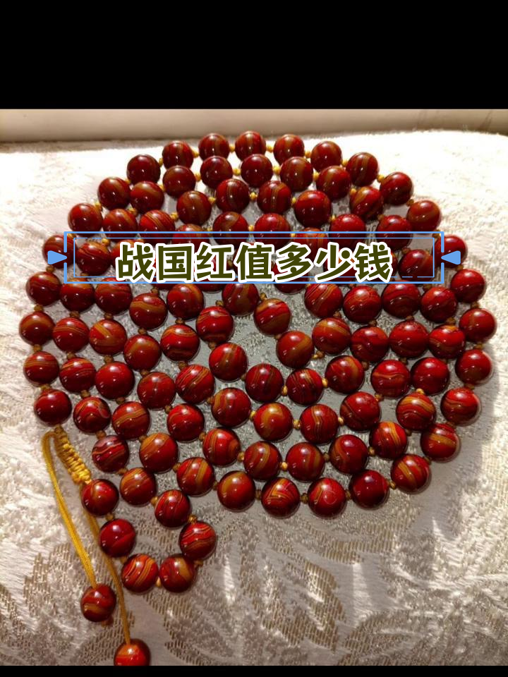 战国红价格解析:市场行情与价值分析