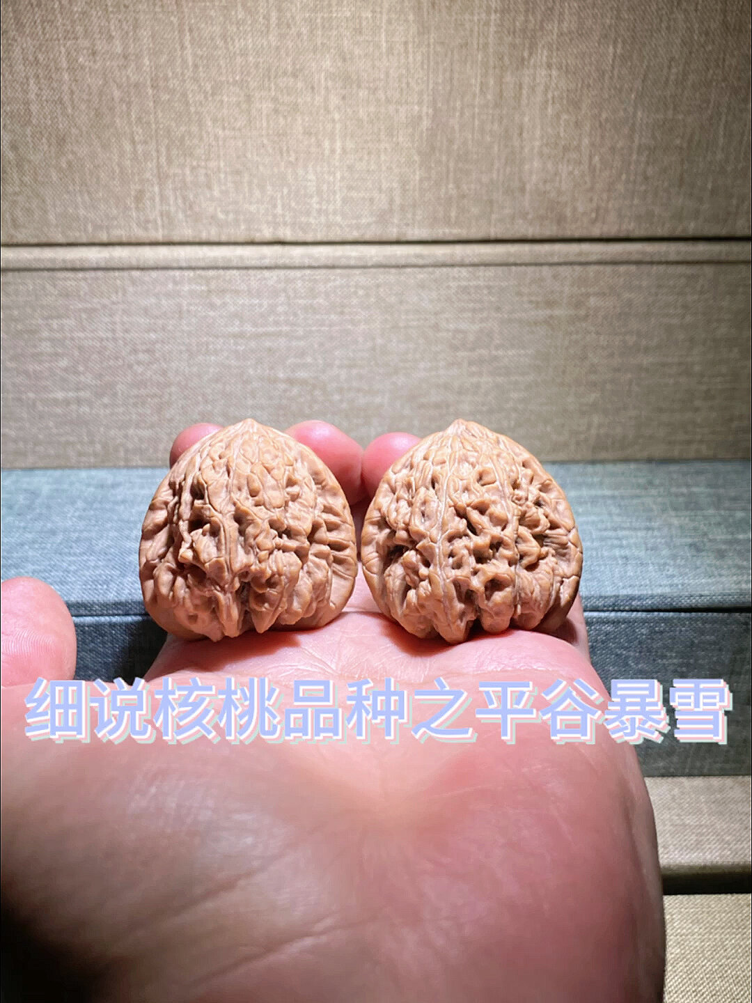 细说文玩核桃品种之平谷暴雪