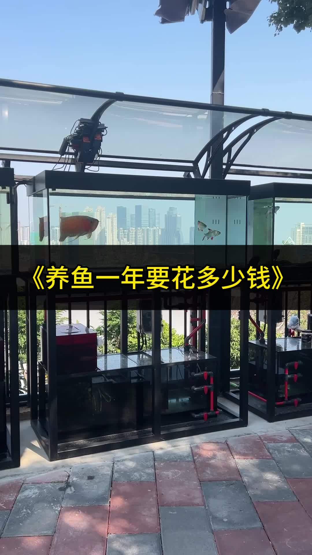 养鱼一年赚多少钱(一亩地养鱼一年可以赚多少钱啊)
