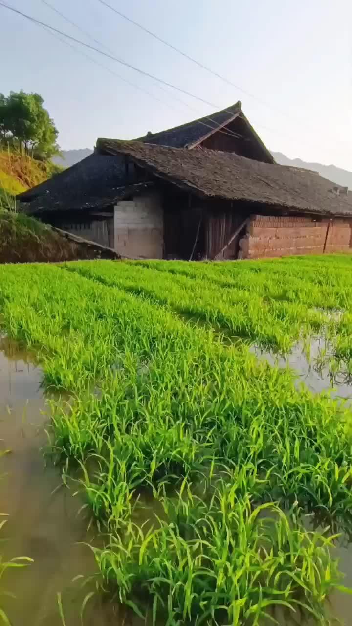 老屋 乡村气息 抖出你的家乡 远离城市的喧嚣 最美乡村风景 乡土气息