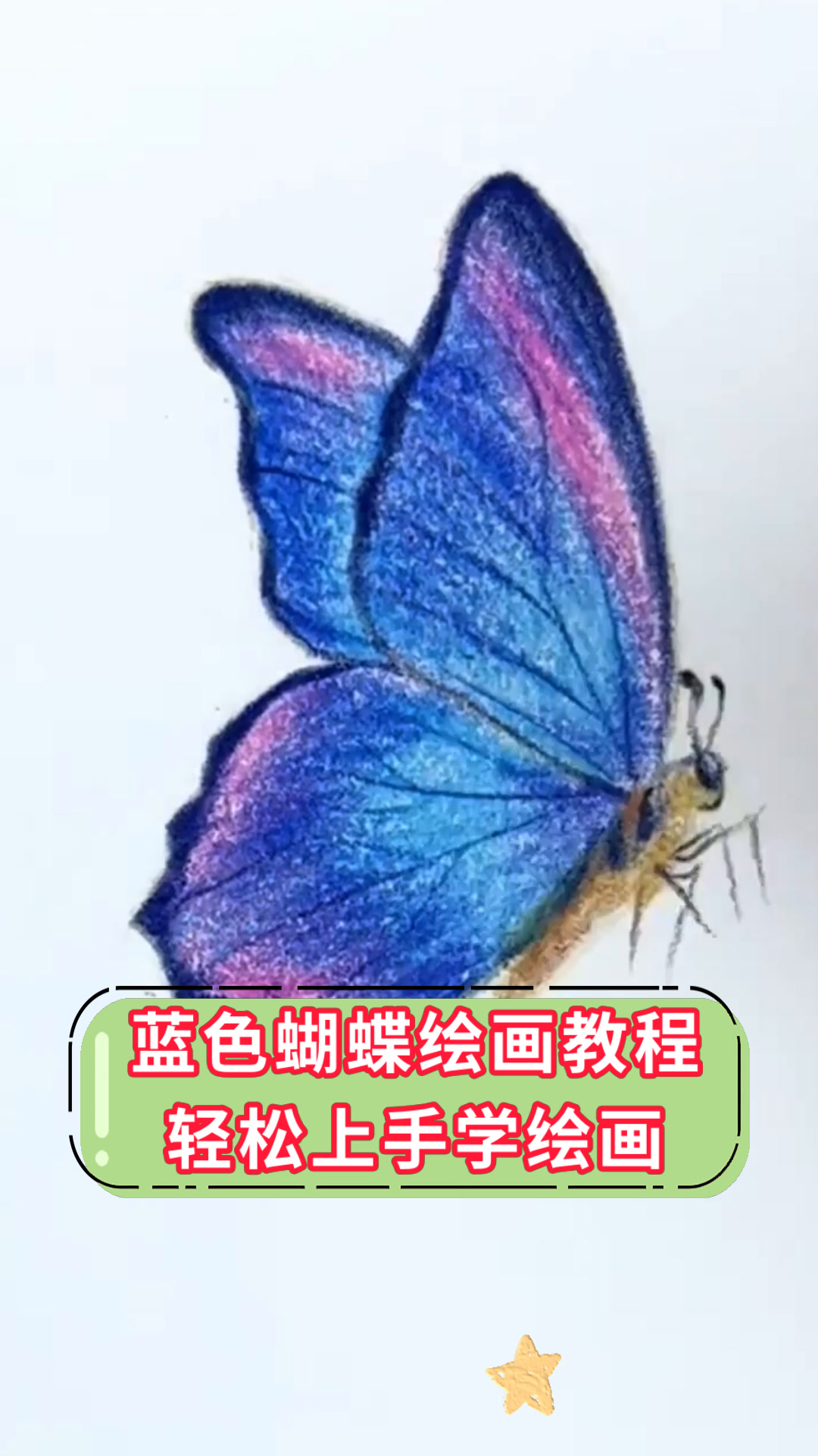 蓝色蝴蝶绘画教程轻松上手学绘画