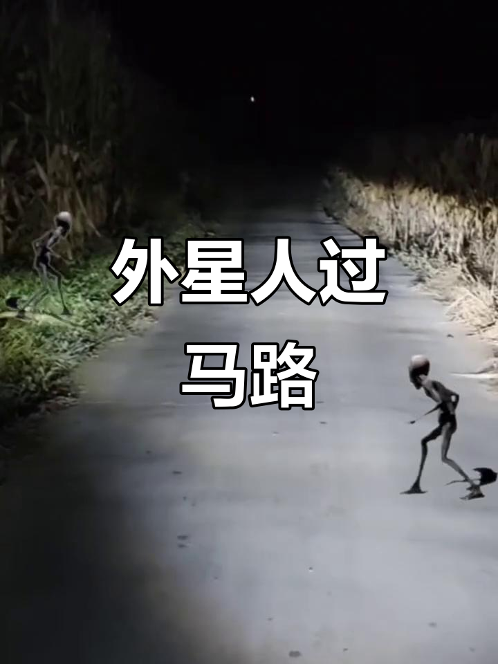 夜晚外星人横穿马路,胆小慎看!