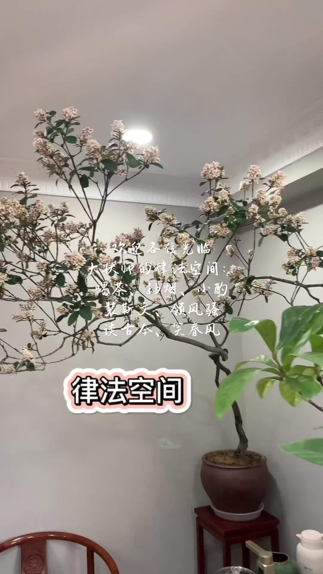 一木花卉养花教程图片