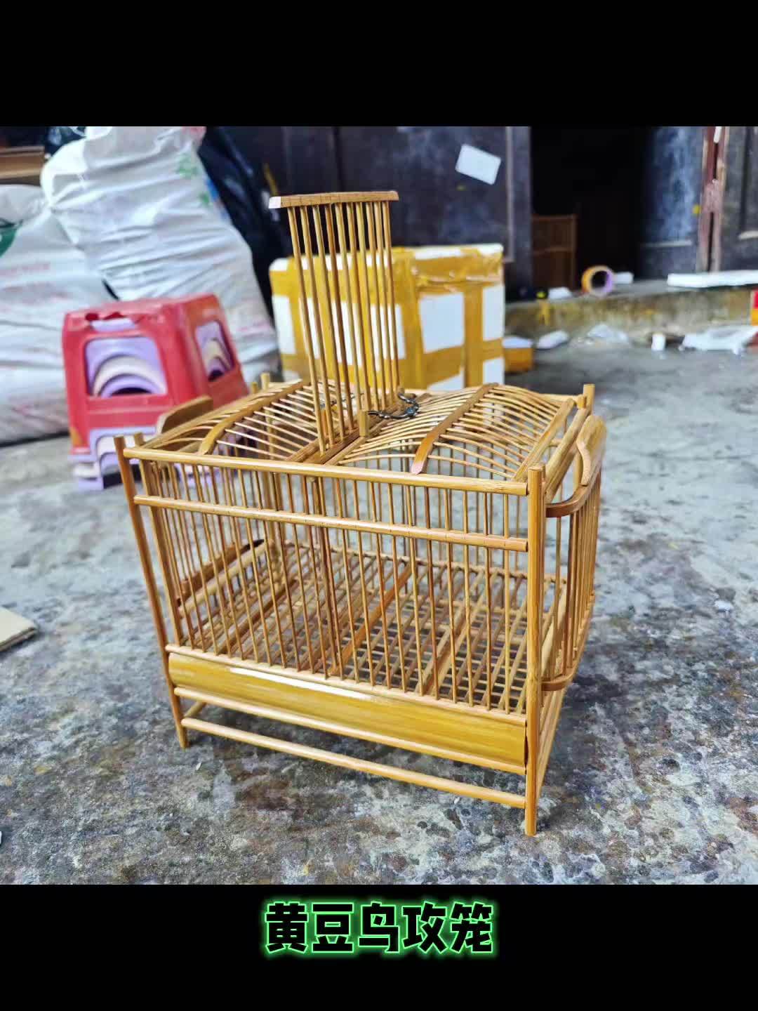 黄豆鸟攻笼比赛笼 黄豆鸟 黄腾鸟 笼中鸟 公笼 养鸟