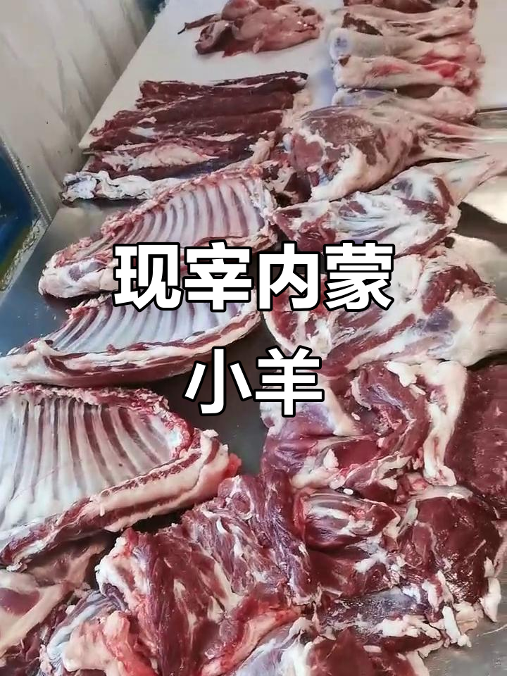 内蒙古小羊现杀,白条羊肉鲜红美味