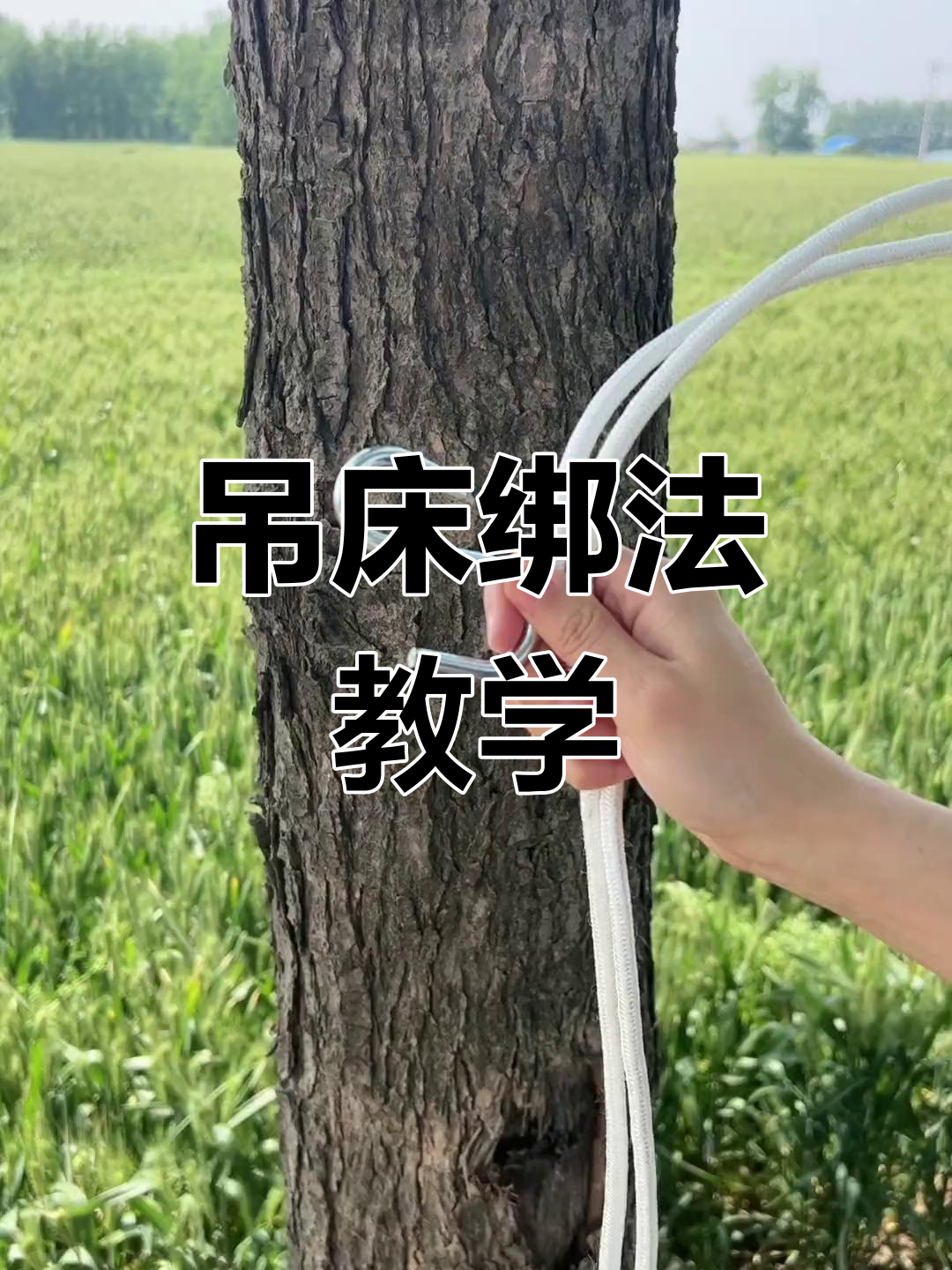 吊床绳结打法图片