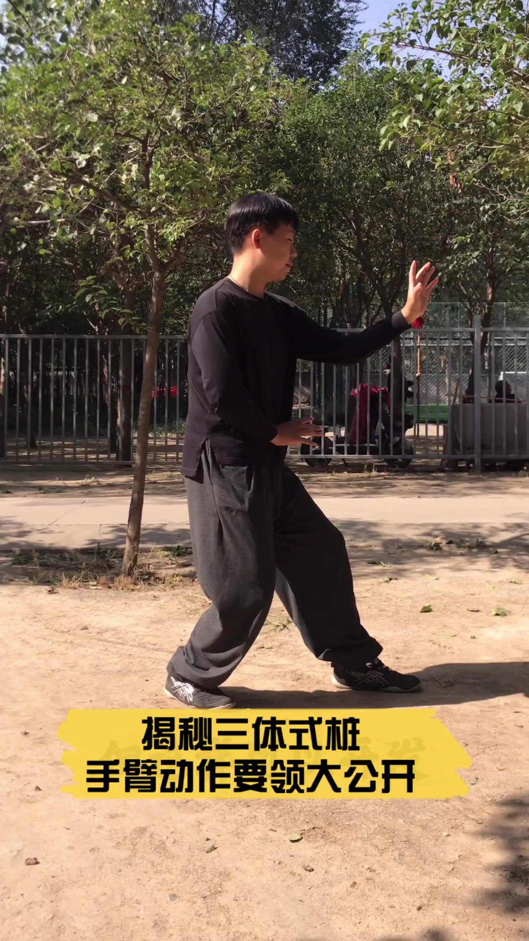 揭秘三体式桩,手臂动作要领大公开