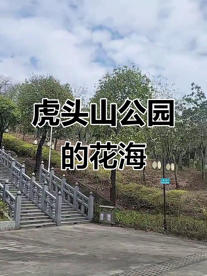 大亚湾虎头山公园:花海美景,如世外桃源般迷人