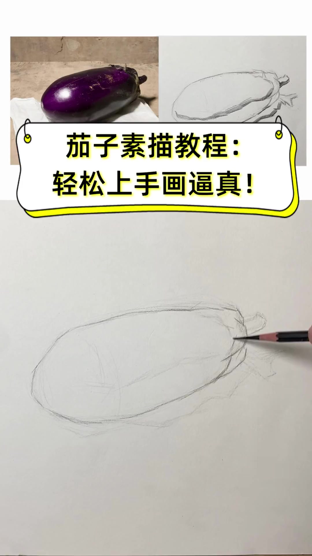 素描茄子图片步骤如下图片