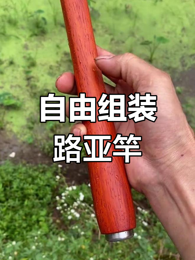 甲鱼枪枪竿多长最好图片