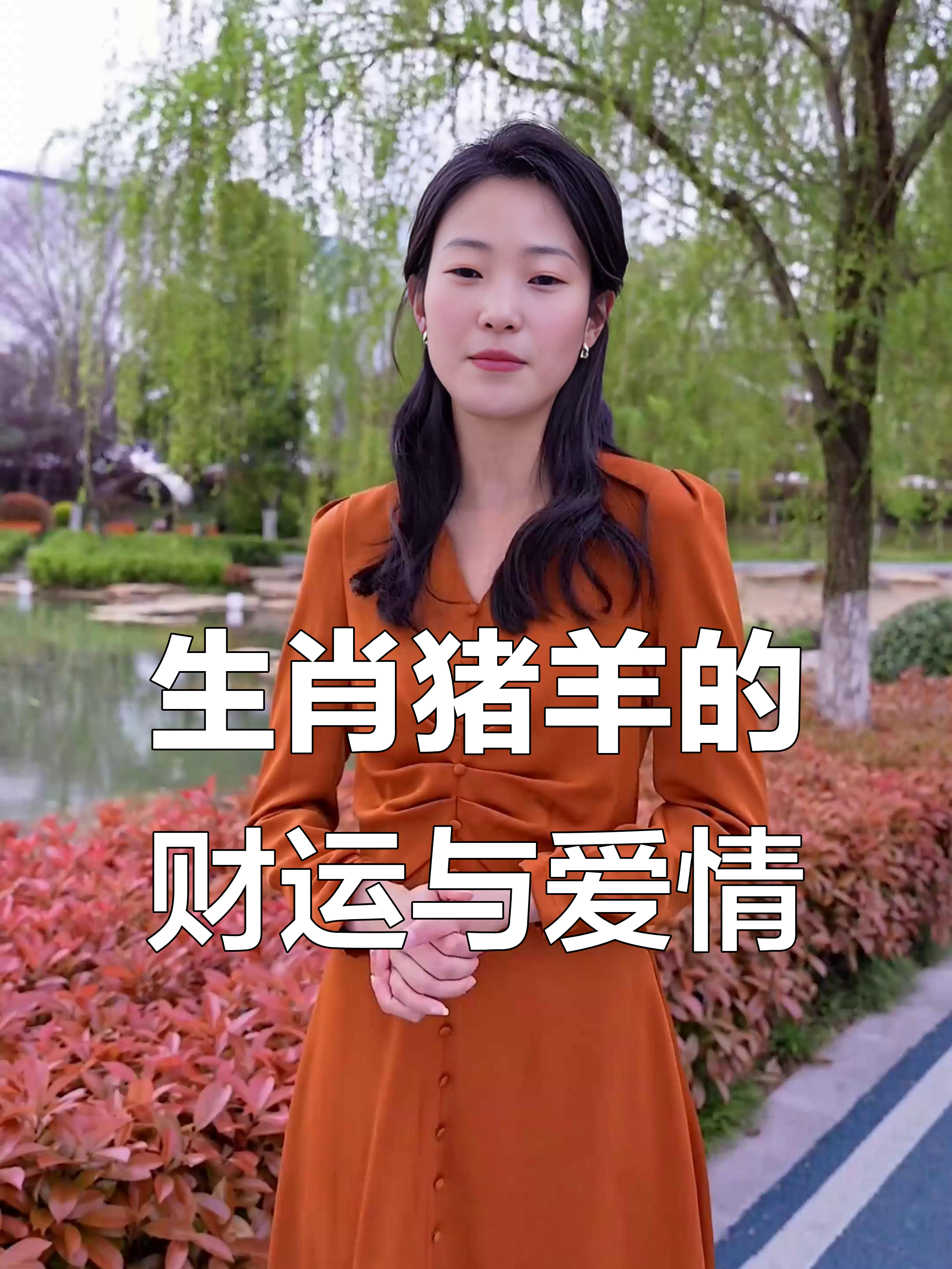 生肖猪每月爱情运势(生肖猪2021年爱情运)