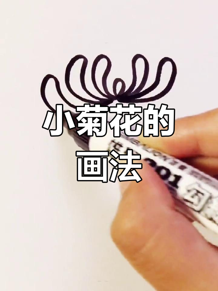 清明节小菊花简笔画教程,简单又可爱