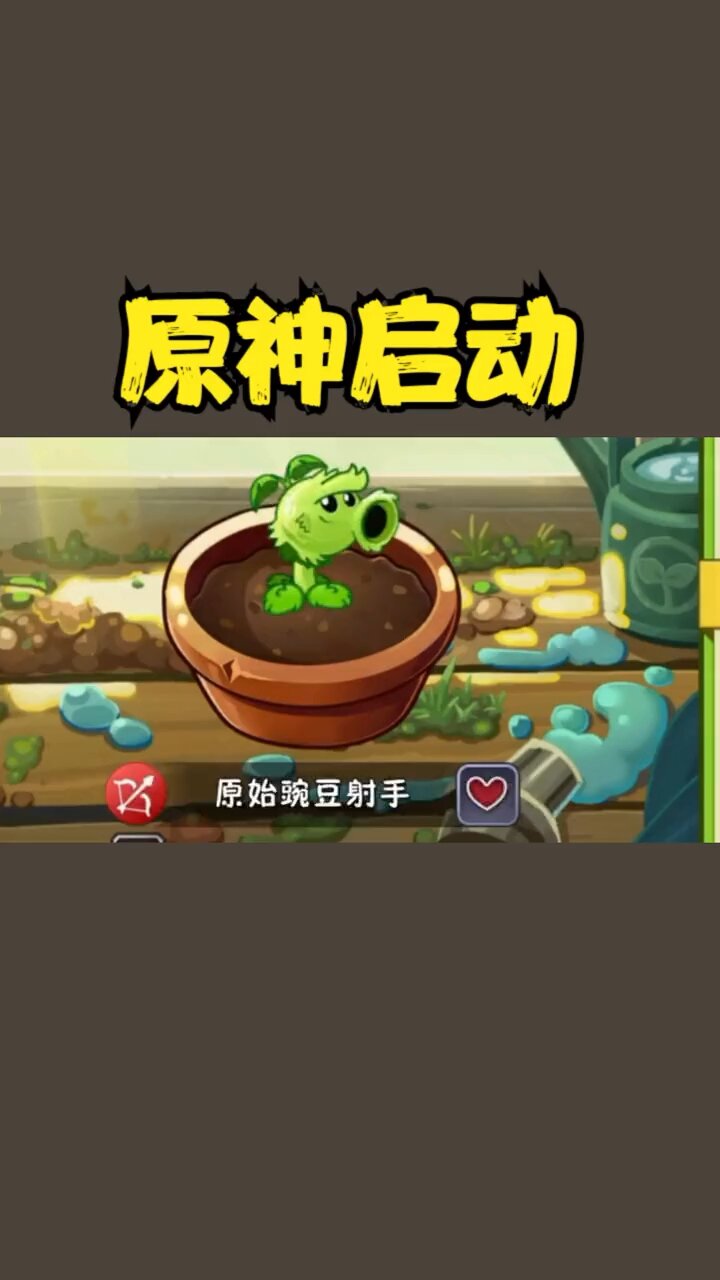 原始豌豆的简单介绍