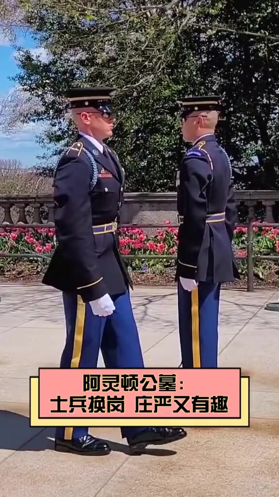 庄严的士兵图片