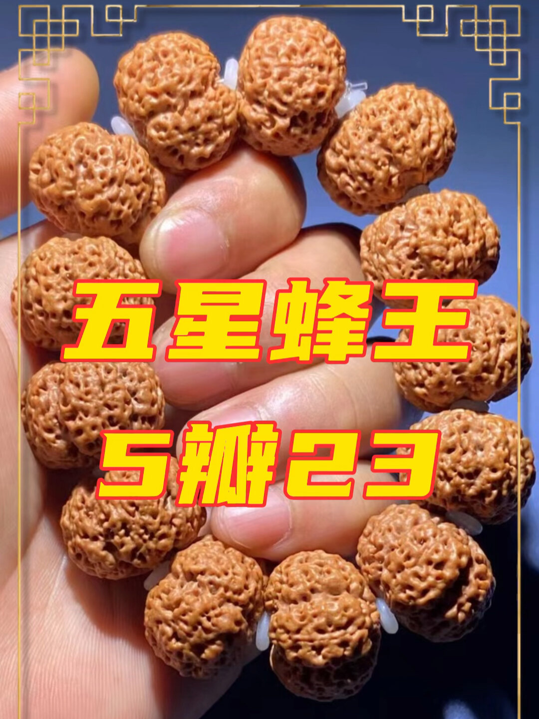 5瓣23毫米经典五星蜂王尼泊尔大金刚菩提