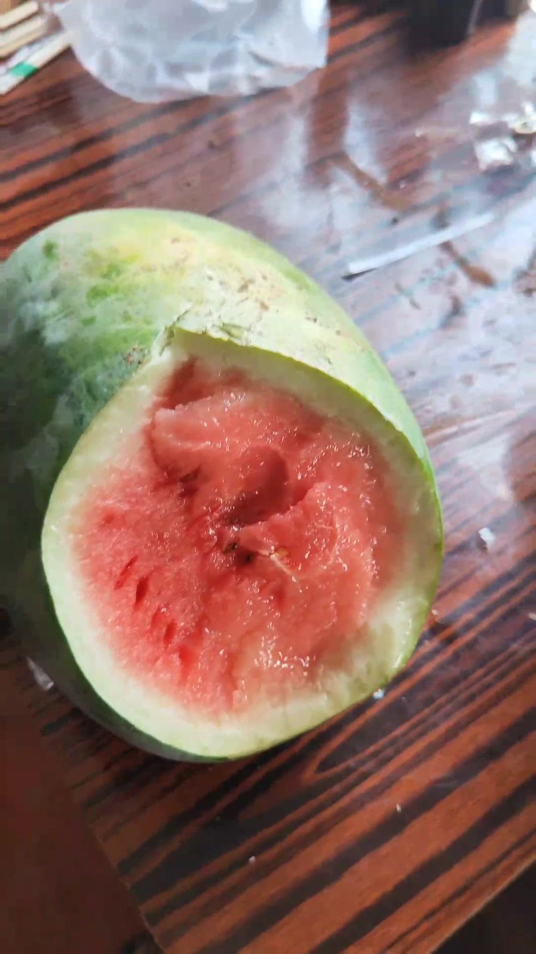 山药地头种的西瓜有点生还不甜这瓜还不保熟为啥没有卖的瓜好吃新农人