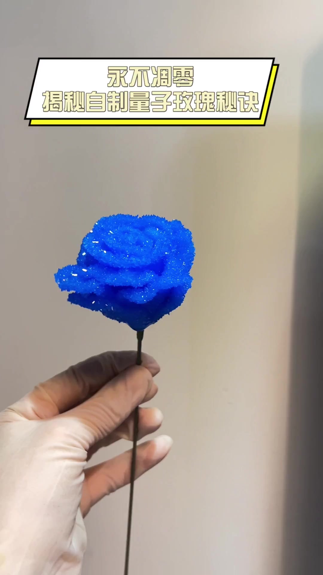 永不凋零,揭秘自制量子玫瑰秘诀