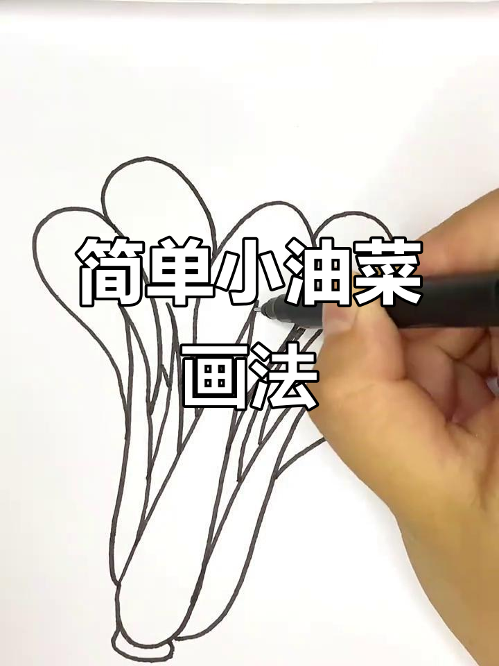 小油菜简笔画,轻松学会画可爱蔬菜