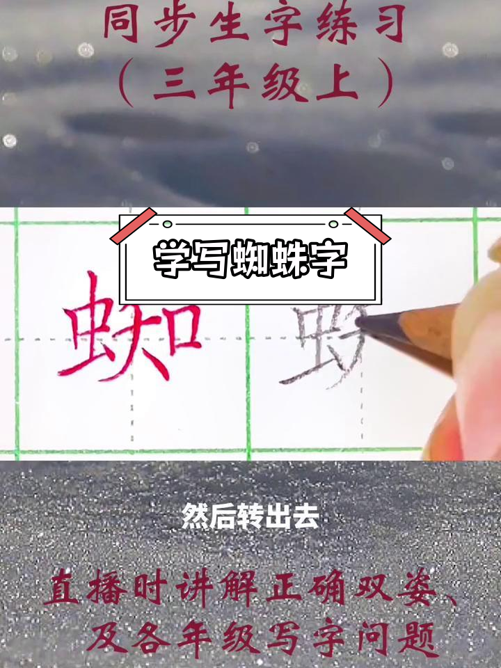 蜘蛛字写法技巧解析